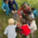 children gathered around peering at a fallen log