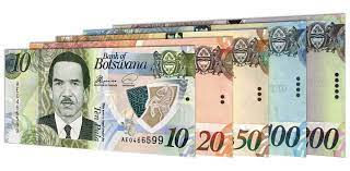 The Ark Microfinance Gaborone Launch 