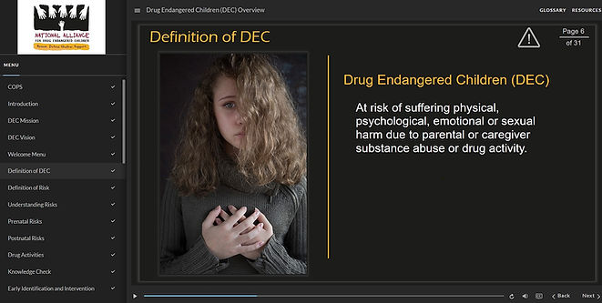 National DEC Overview eLearning screenshot of sample course