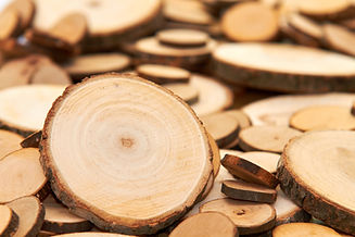 AdobeStock_206609405.jpeg