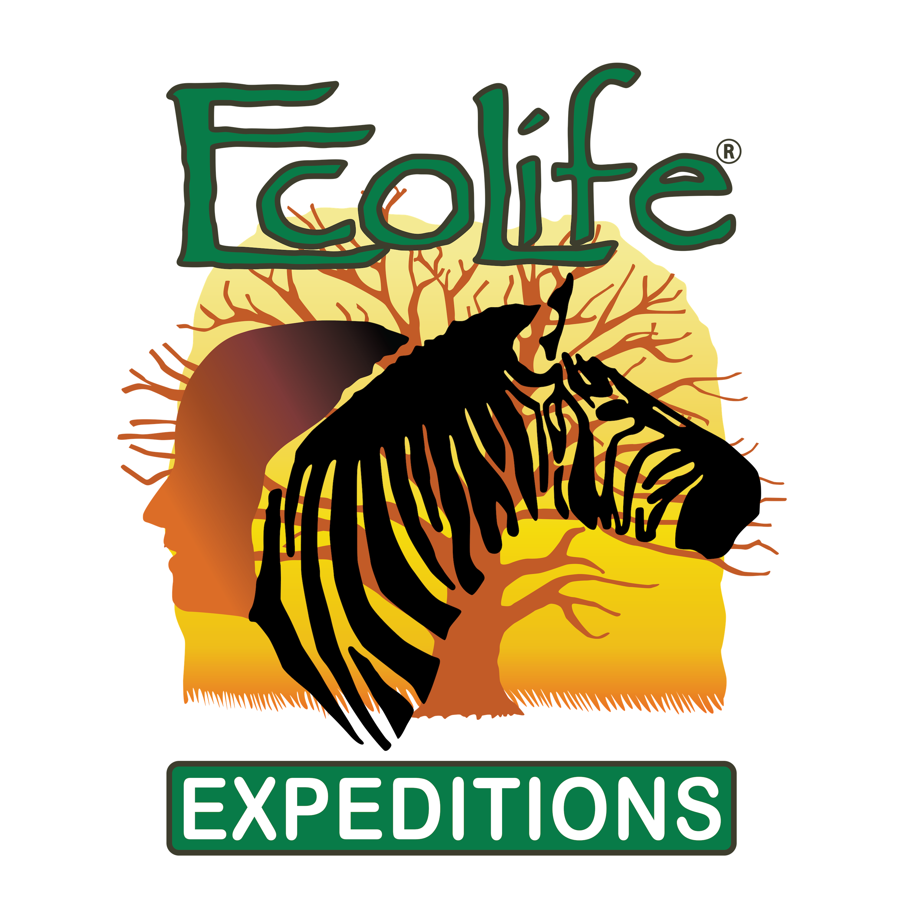 Writer: EcoLife Team