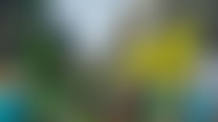 As notícias mais importantes do dia 08 de Setembro de 2021