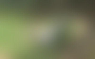 As notícias mais importantes do dia 06 de dezembro de 2021