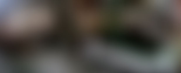 AS NOTÍCIAS MAIS IMPORTANTES DO DIA 12 DE SETEMBRO DE 2022