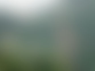 As notícias mais importantes do dia 16 de fevereiro de 2022