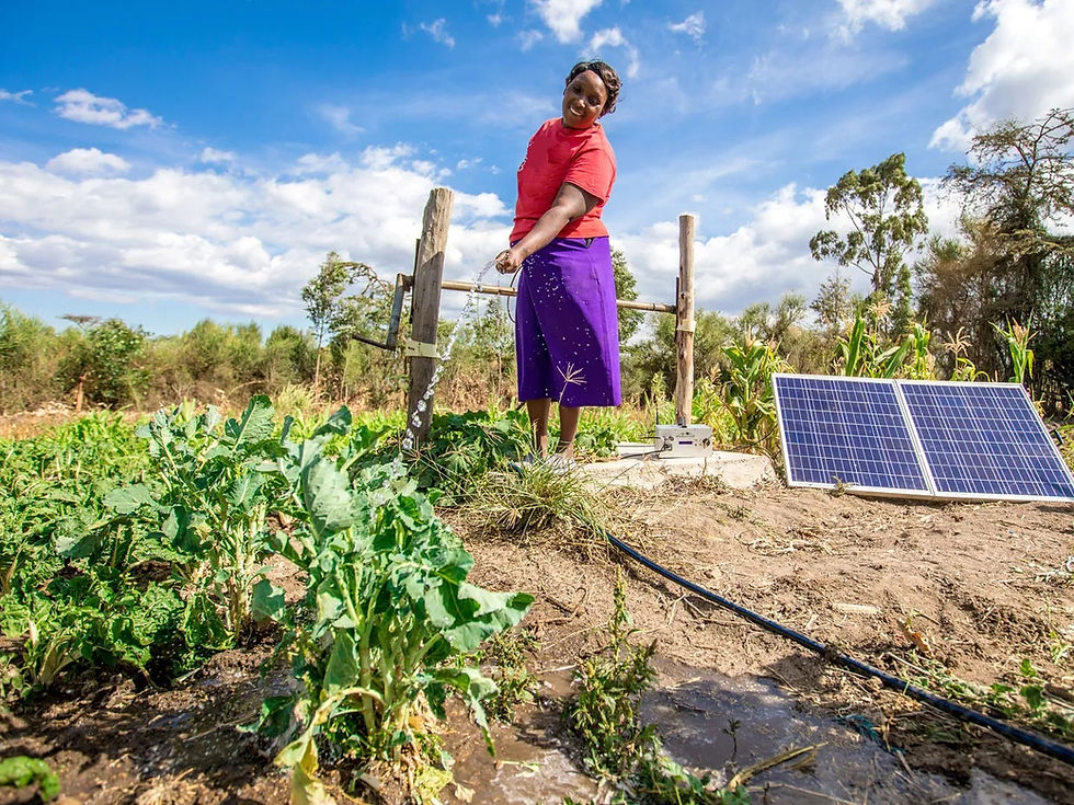 MULHER NO CAMPO COM PAINEL SOLAR