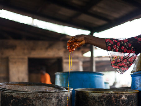 ‘Twifo Praso Palm Oil’- Seun Adatsi