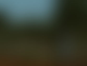 Who Will Bury You?- kyle malanda