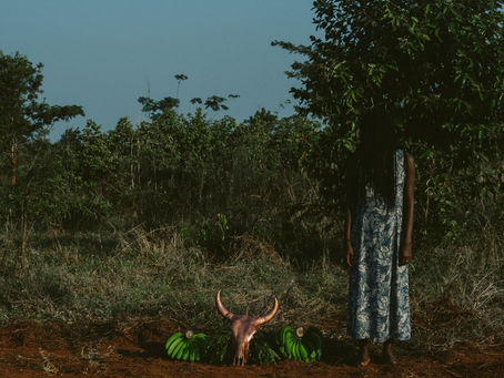 Who Will Bury You?- kyle malanda