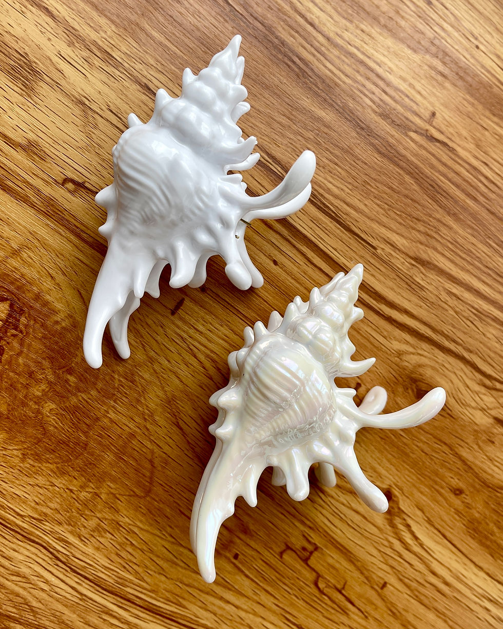 Thumbnail: CONCH CLAW Hair Clip – Fantasy Shell Design  ✨ 100% Authentic Product 💸