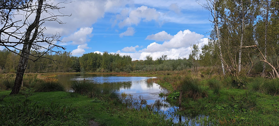 Autor: Karin Ruigrok van de Werve