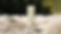 SEQ CUT.00_00_11_02.Standbild011.jpg