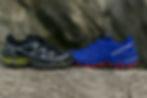 Salomon XT-6 vs Speedcross 6