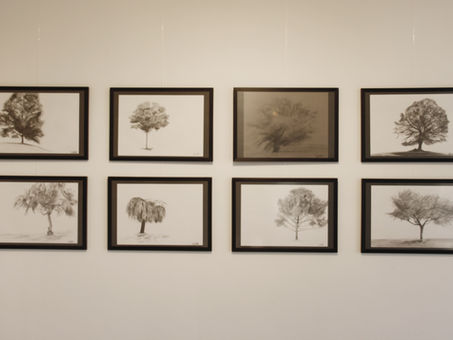 Exposition "Art & Nature", novembre 2021 à La Galerie.