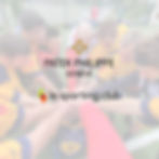 Match Flag Rugby Patek Philippe - GEPLO Trajets