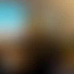 Seminar on Stem Cells