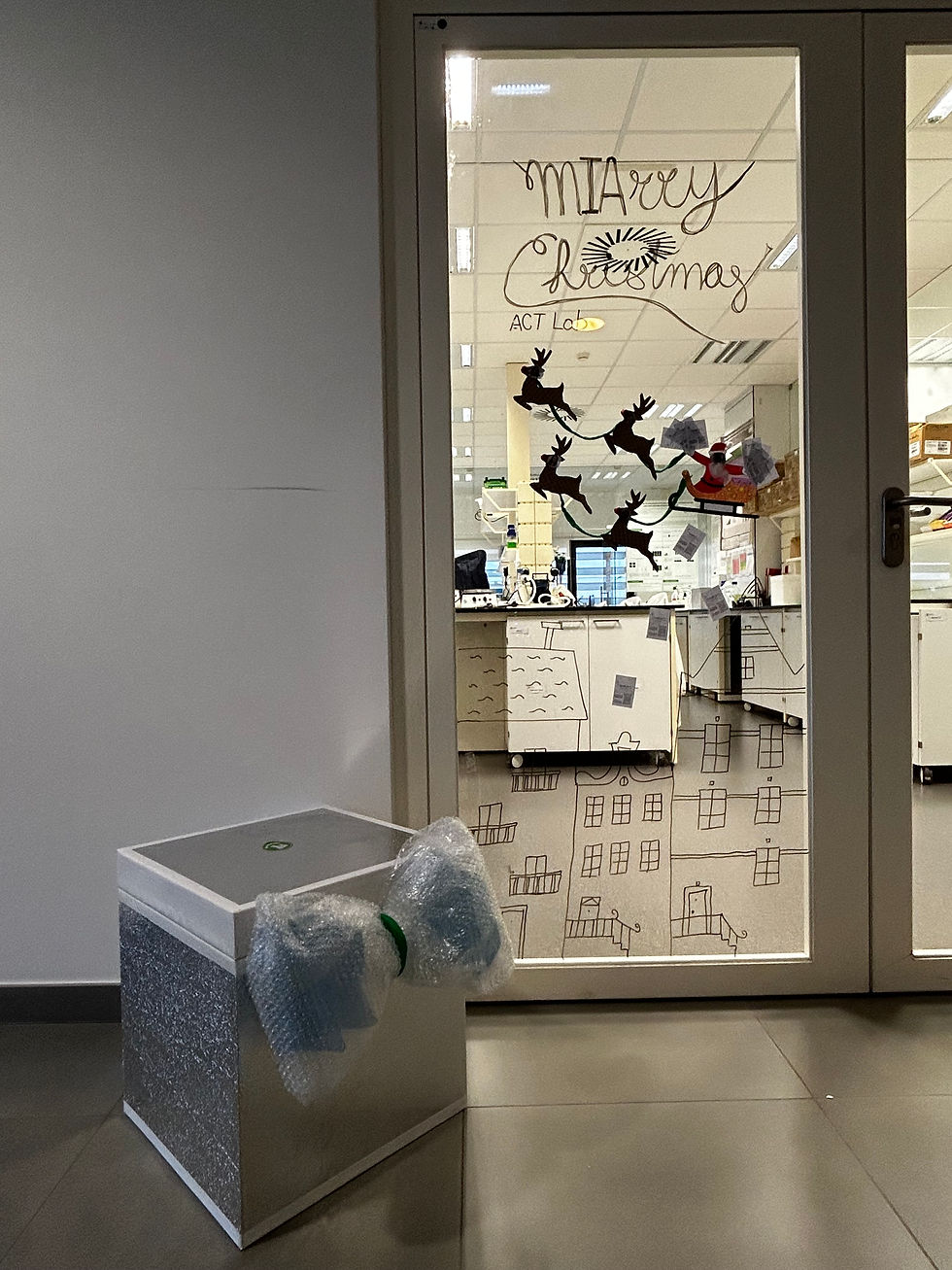 ACT Lab’s decorated door for the 2025 UC-Biotech Christmas Door Contest.