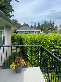 Hedge trimmed by landscaper at Highlife