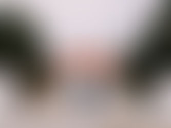 Galeri Nasional Indonesia, Gudangnya Seni Rupa Indonesia