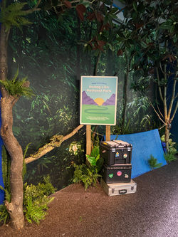 Secret Life of Reptiles & Amphibians - London Zoo