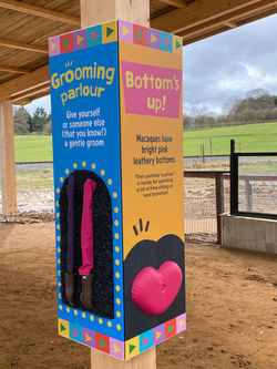 Monkey Forest - ZSL Whipsnade Zoo