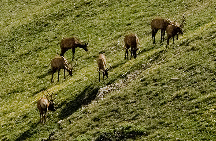 Image by Steve Kozak