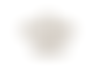 PPC 2020 Image Critique Video Service