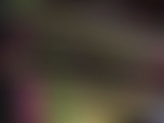 Online: Creating Your Website 5/13/21