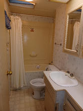 231 Cottonwood 12.jpeg