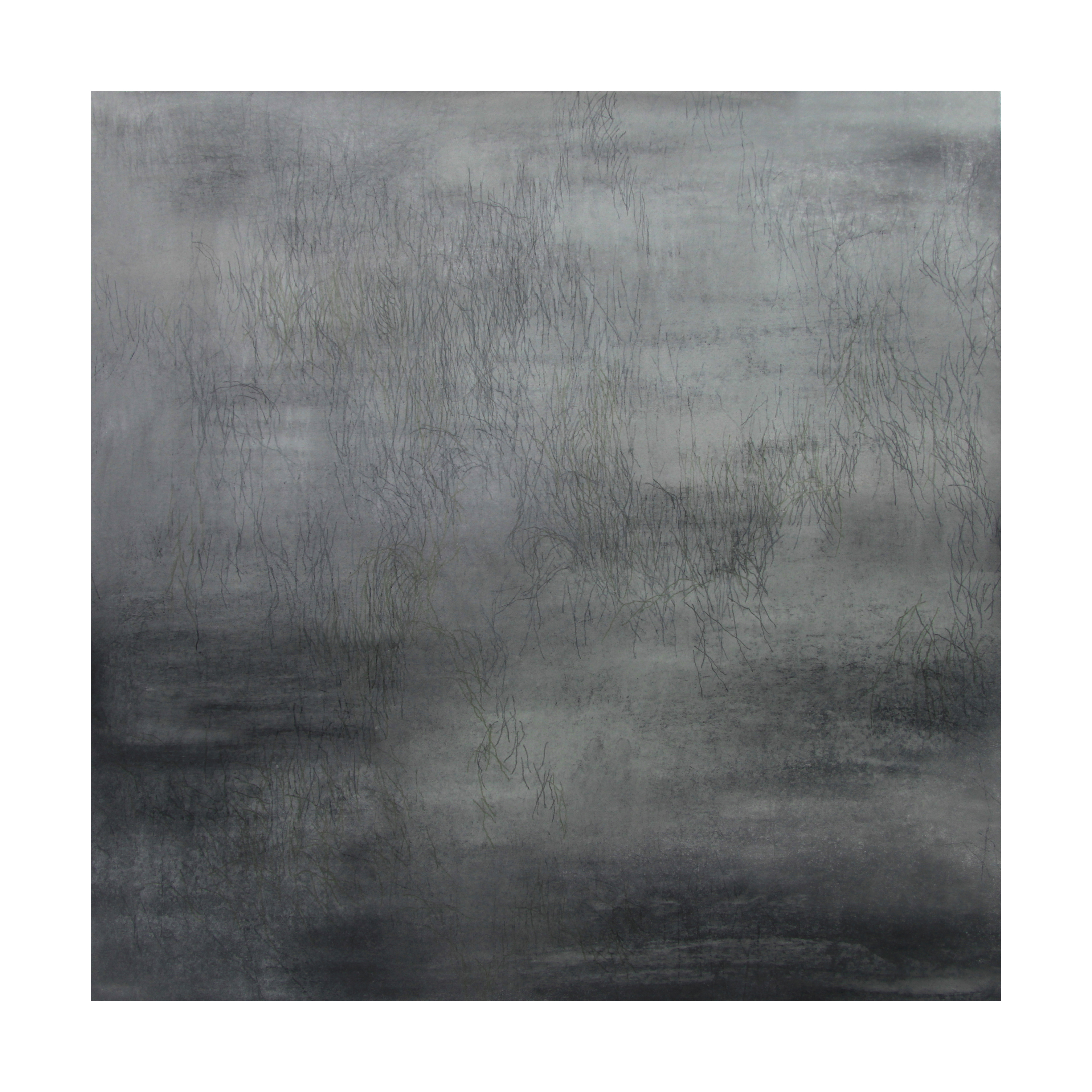 Anne Laure H.Blanc : dessin, estampe