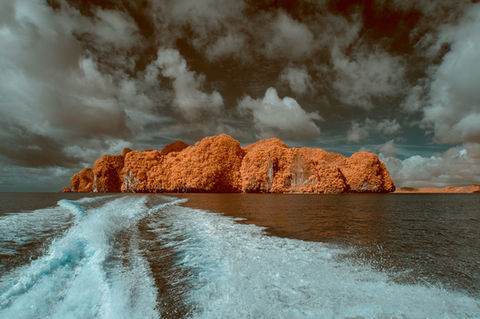 Shavit Vos, Shavit Vos photographer, photographer in Israel, infrared photography, art for sale, שביט פוס, The Way