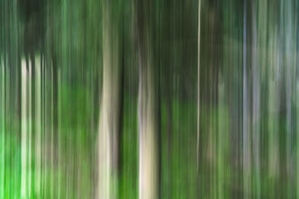 Dreamlike forest shapes with soft greens, minimalist ICM fine art print by Shavit Vos