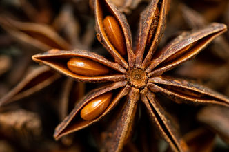 Shavit Vos, Shavit Vos photographer, photographer in Israel, still life photography, art for sale, שביט פוס