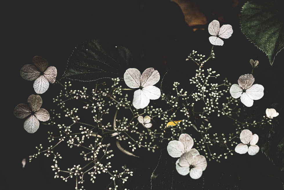 Both Felt a Heart Near