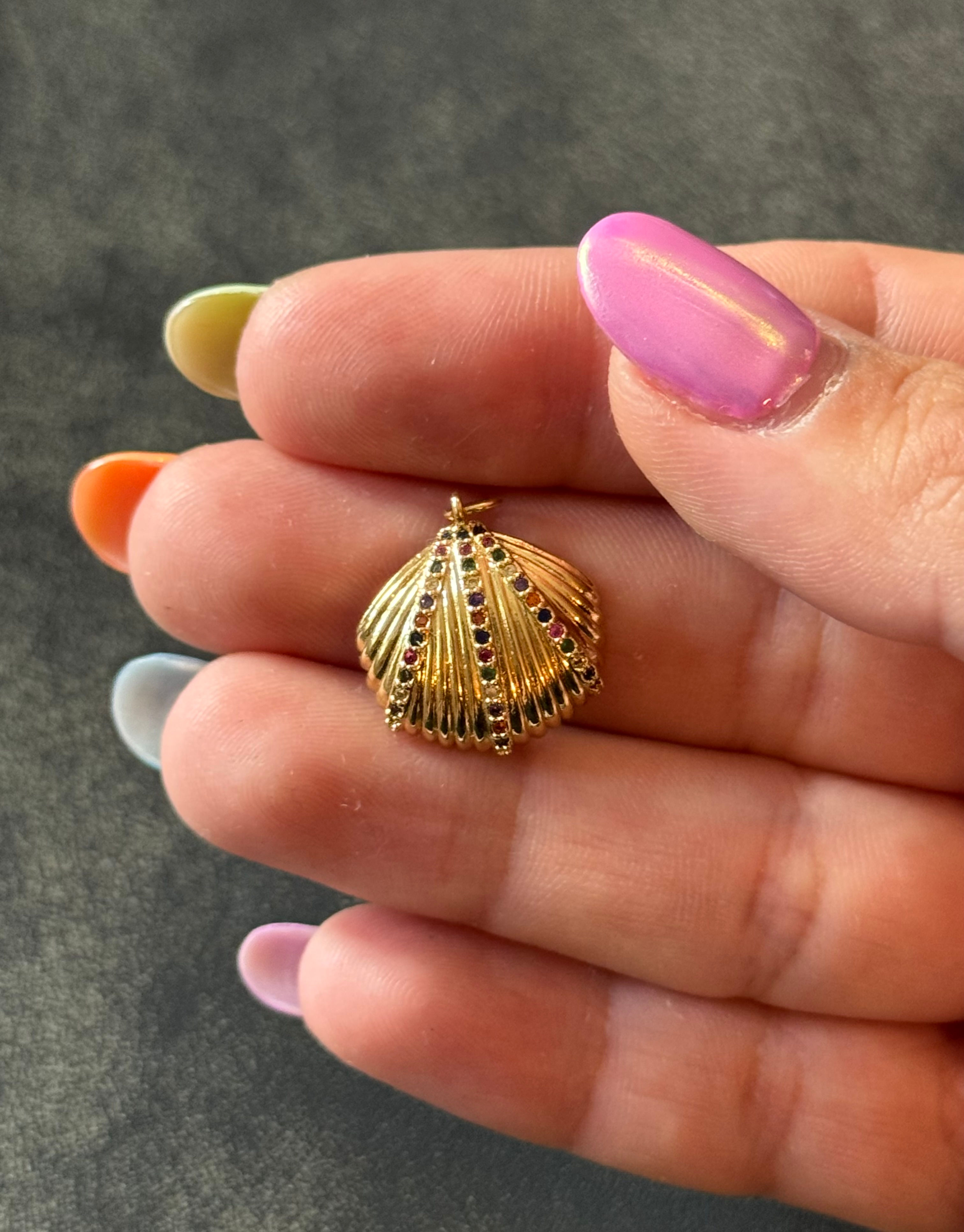 Coquillage 🐚​🌈​