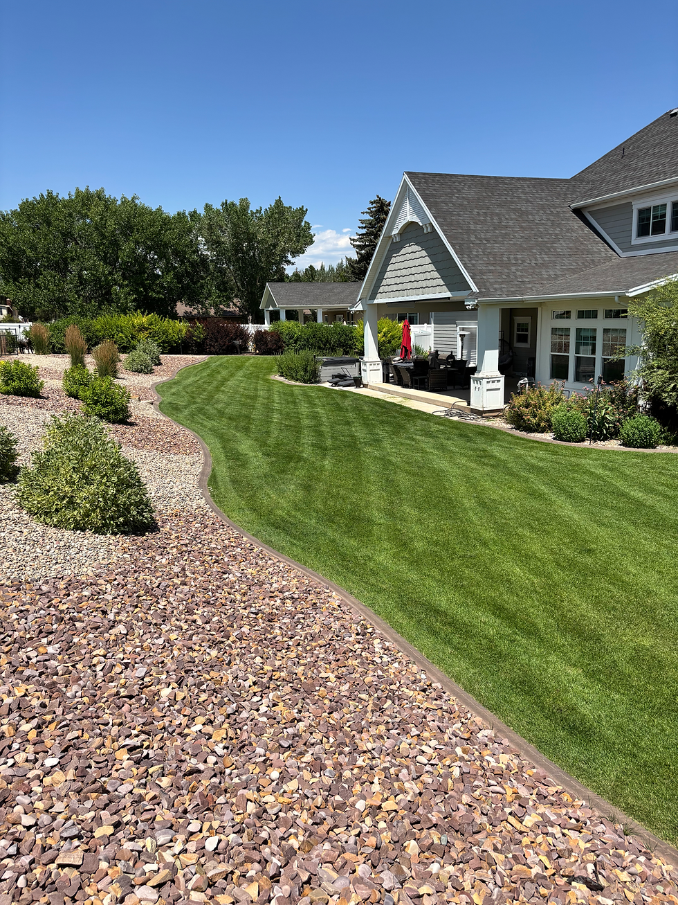 lawn care and landscaping