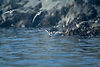 IMG_0119-1.jpg