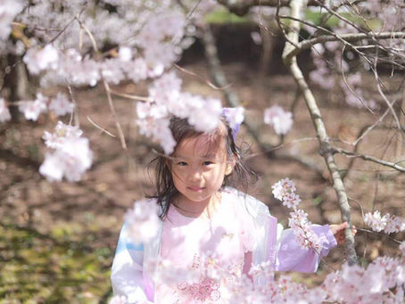 Beneath the Blossoms, You and I