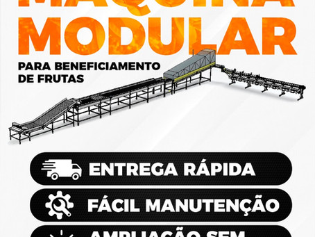 Maquina para Beneficiamento e Classificação de Laranjas