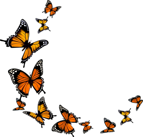 499-4999040_monarch-butterfly-transparent-background-butterfly-png-clipart.png