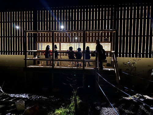 view platform night.jpg