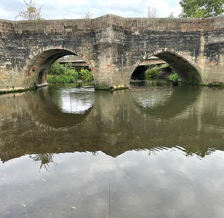 River Dove