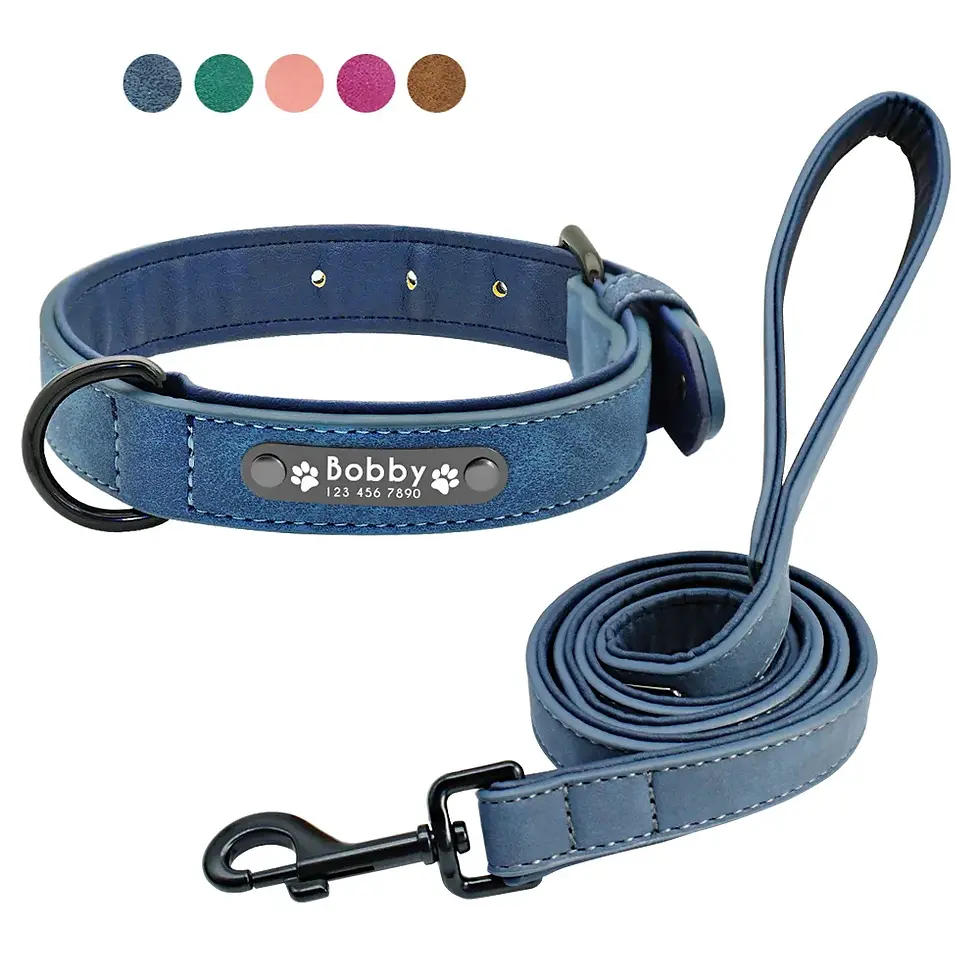 Thumbnail: Customizable Pet Collar