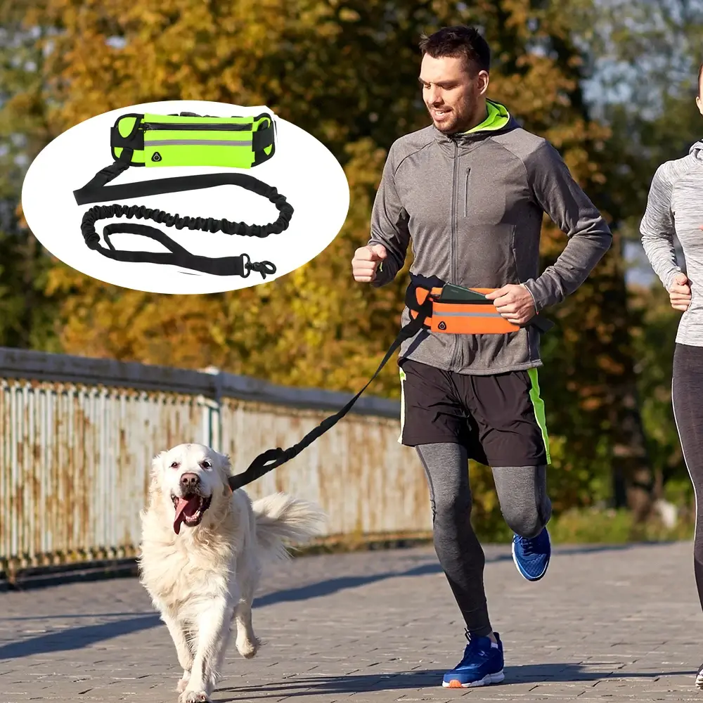 Sports Waist Bag Dog Walking Leash Outdoor Dog Walking Reflective Telescopic