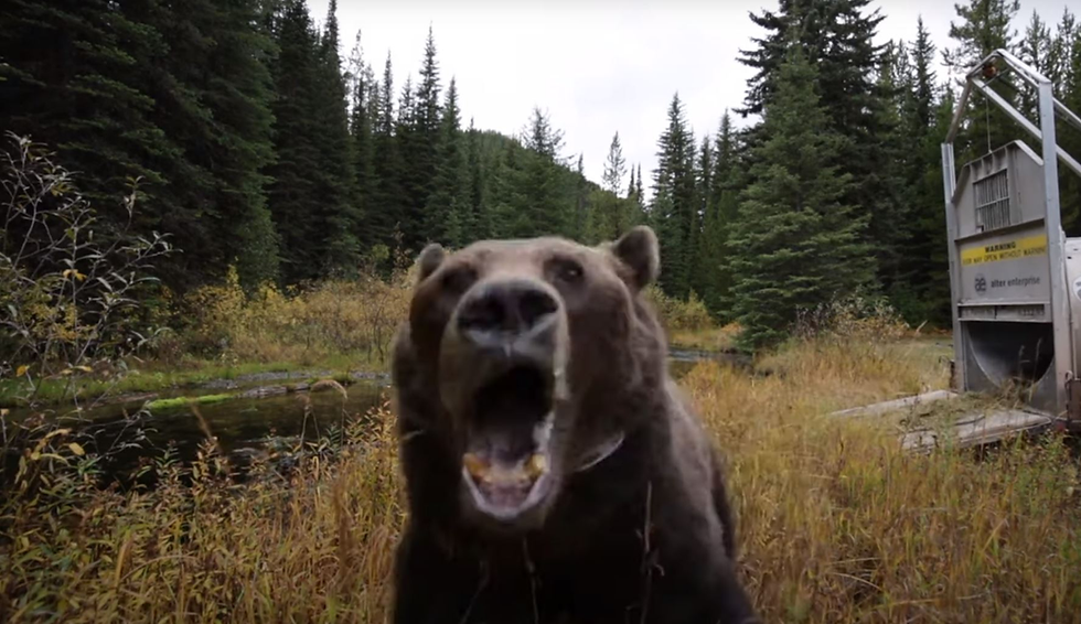 Actual picture of me running across my front yard.