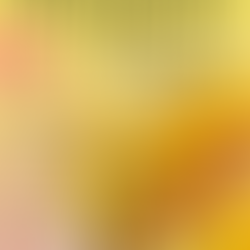 Final Magazine Reflection