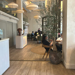 Wolfox - Savoy Court London