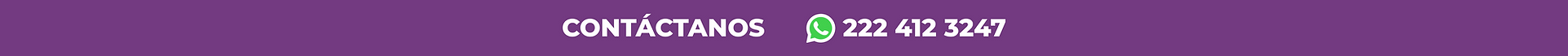 BANNER TOP WIX CONTACTO_3x.png