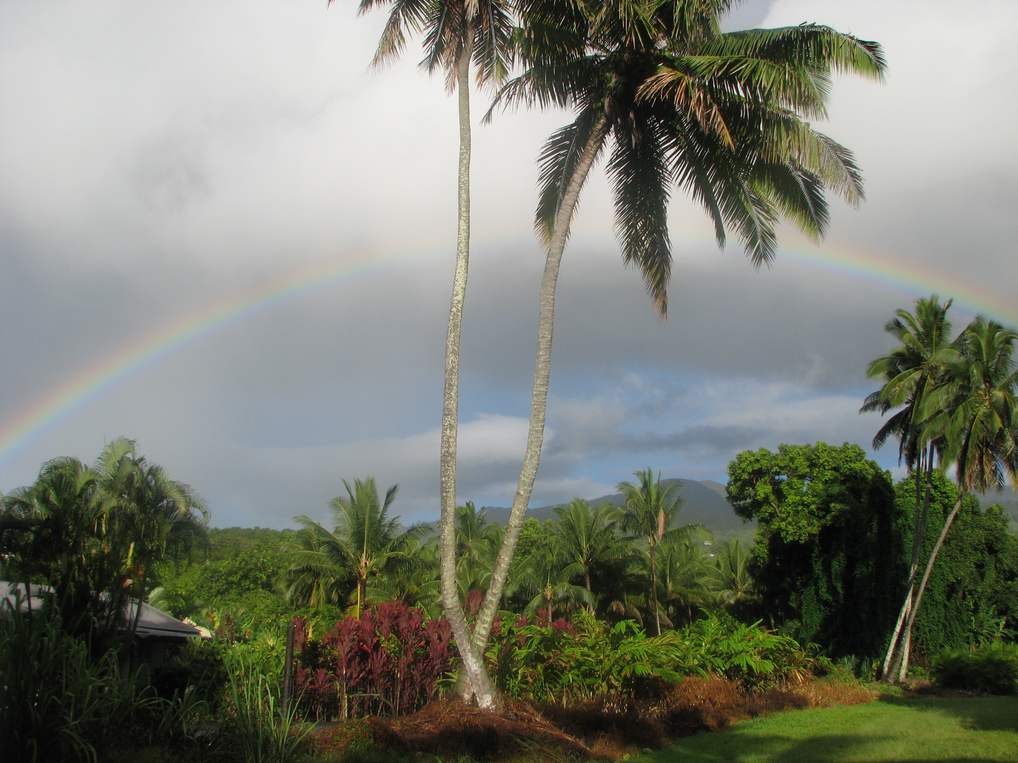 Rainbow in Paradise