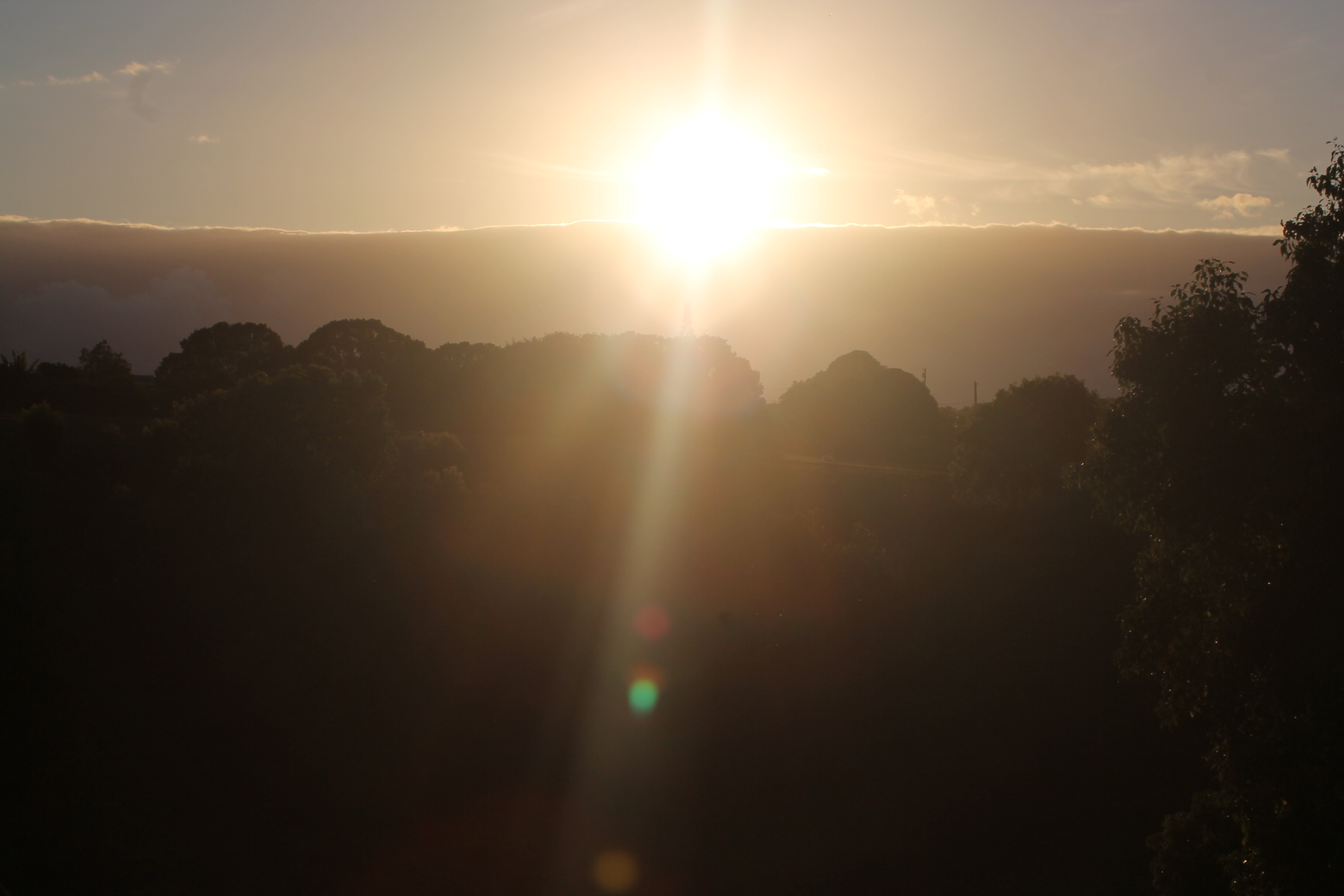 Waimea Canyon Hike